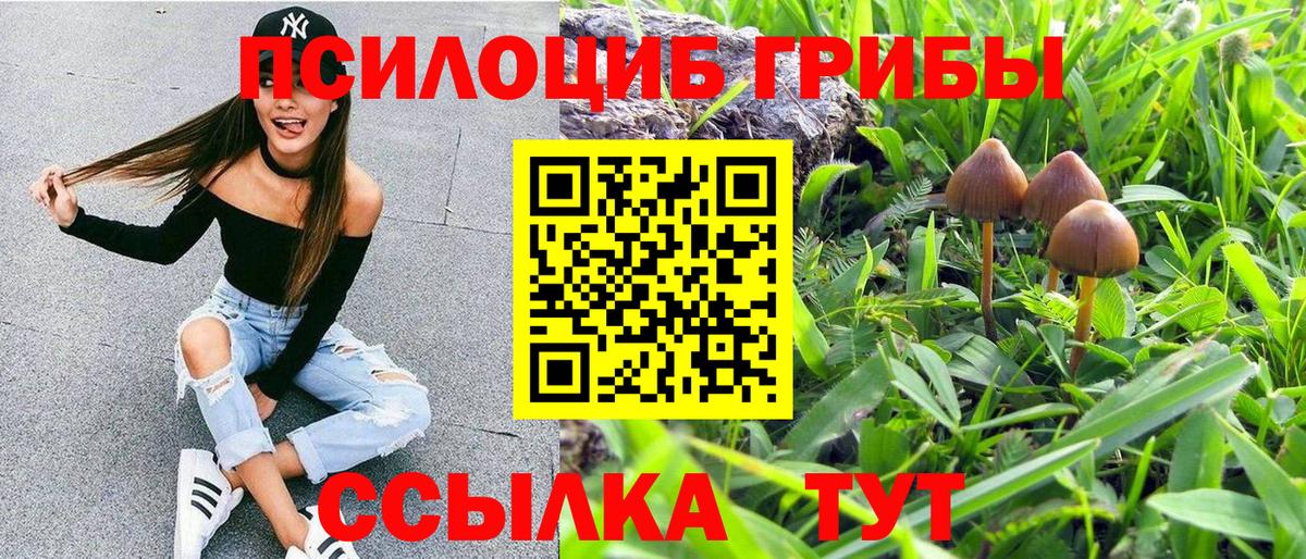 Псилоцибиновые грибы мухоморы Чистополь